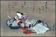 Japan: The poetess Komachi washing a book (17th century).