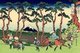In Hokusai’s ‘Hodogaya on the Tokaido Road’, Mount Fuji is seen through a screen of pines trees. In the foreground a group of travellers make their way from Edo [Tokyo], to the imperial capital, Kyoto.<br/><br/>

‘Thirty-six Views of Mount Fuji’ is an ‘ukiyo-e’ series of large, color woodblock prints by the Japanese artist Katsushika Hokusai (1760–1849). The series depicts Mount Fuji in differing seasons and weather conditions from a variety of places and distances. It actually consists of 46 prints created between 1826 and 1833. The first 36 were included in the original publication and, due to their popularity, 10 more were added after the original publication.<br/><br/>

Mount Fuji is the highest mountain in Japan at 3,776.24 m (12,389 ft). An active stratovolcano that last erupted in 1707–08, Mount Fuji lies about 100 km southwest of Tokyo. Mount Fuji's exceptionally symmetrical cone is a well-known symbol and icon of Japan and is frequently depicted in art and photographs. It is one of Japan's ‘Three Holy Mountains’ along with Mount Tate and Mount Haku.<br/><br/>

Fuji is nowadays frequently visited by sightseers and climbers. It is thought that the first ascent was in 663 CE by an anonymous monk. The summit has been thought of as sacred since ancient times and was forbidden to women until the Meiji Era. Ancient samurai used the base of the mountain as a remote training area, near the present-day town of Gotemba.
